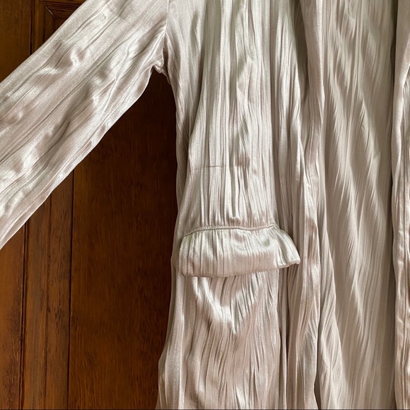 Zara Oversized Velvet Blazer - Picture 5 of 6